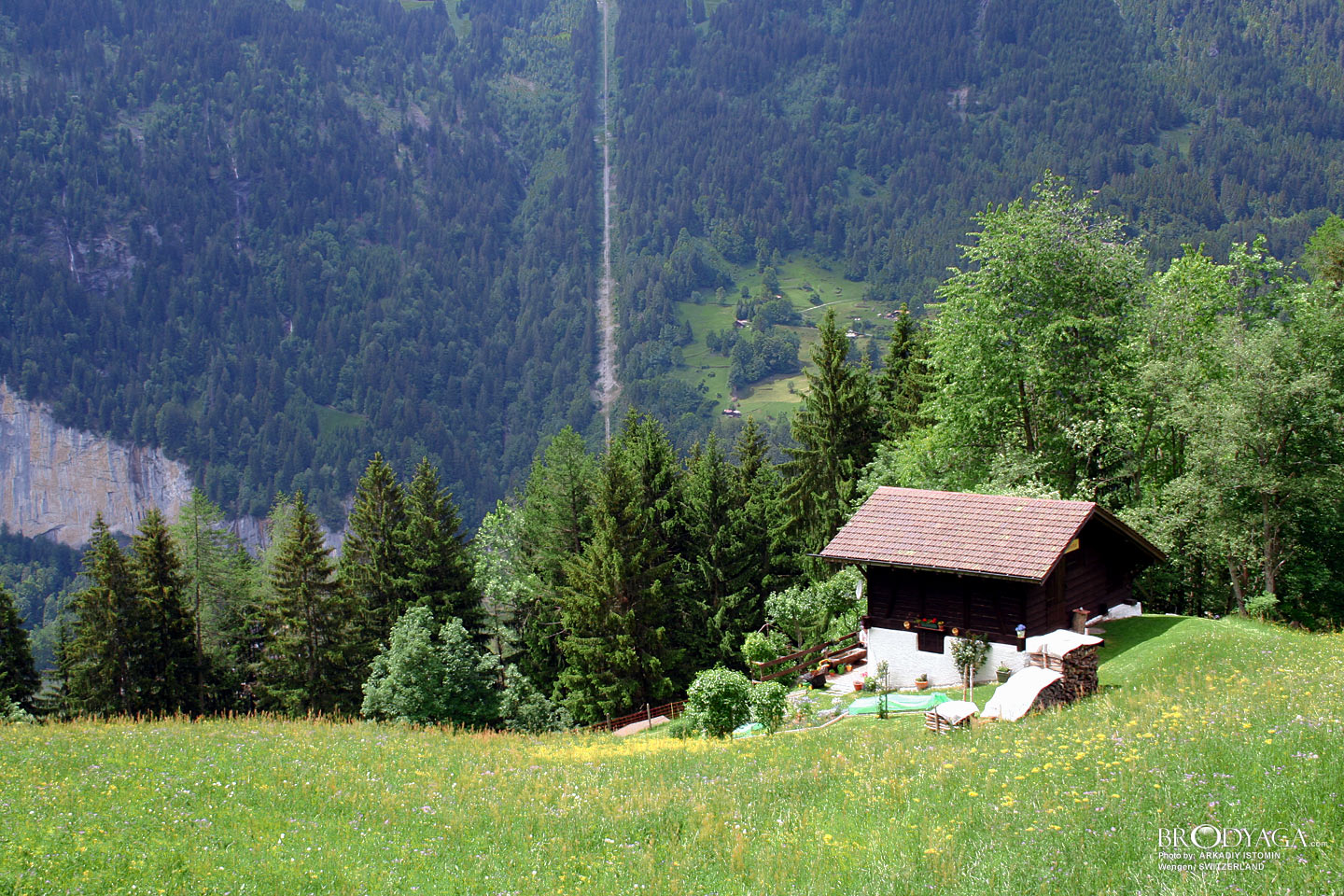 Wengen